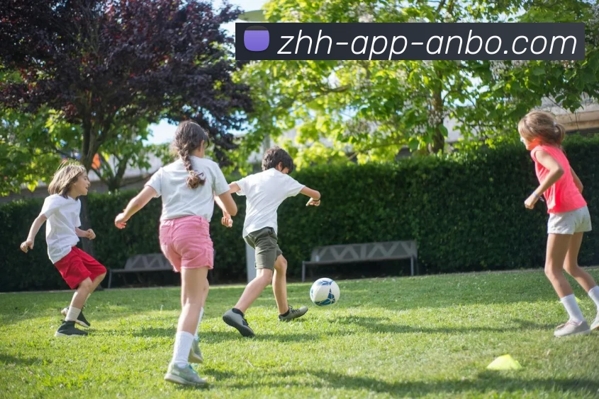 安博体育平台生态图